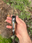 EVO AEB-L 62 HRC